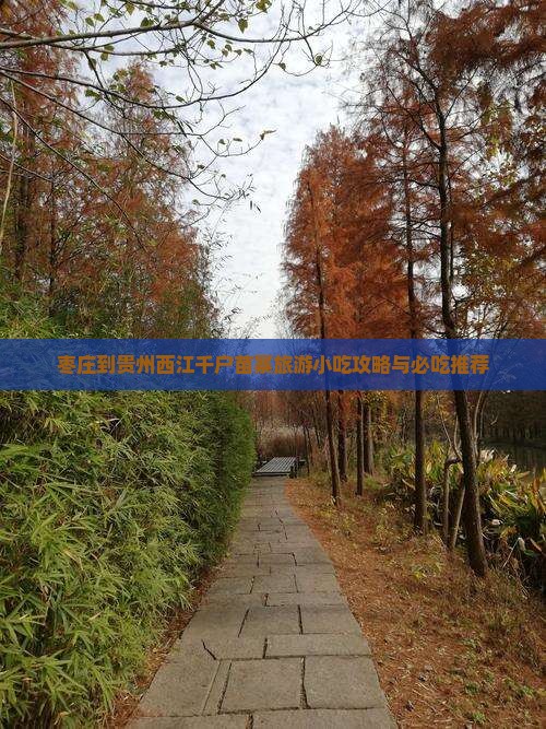 枣庄到贵州西江千户苗寨旅游小吃