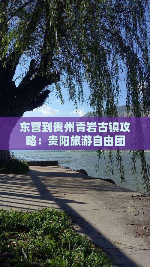 东营到贵州青岩古镇自由团