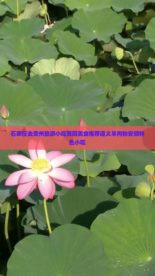 石家庄去贵州旅游小吃