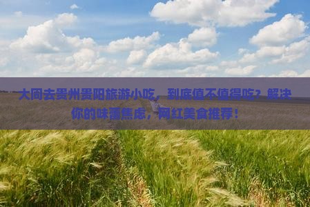 大同去贵州贵阳旅游小吃
