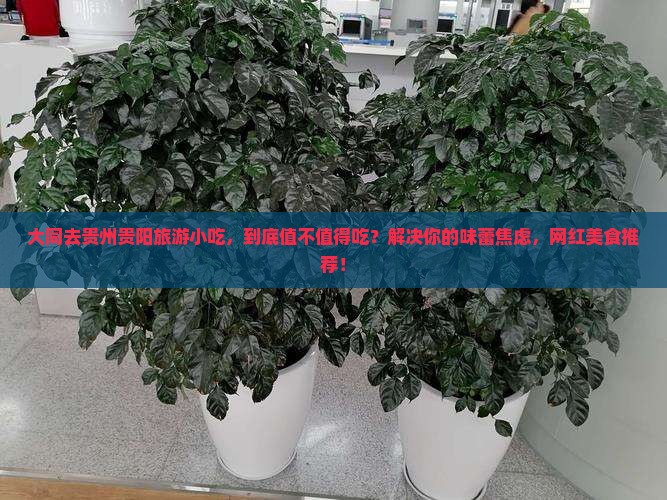 大同去贵州贵阳旅游小吃