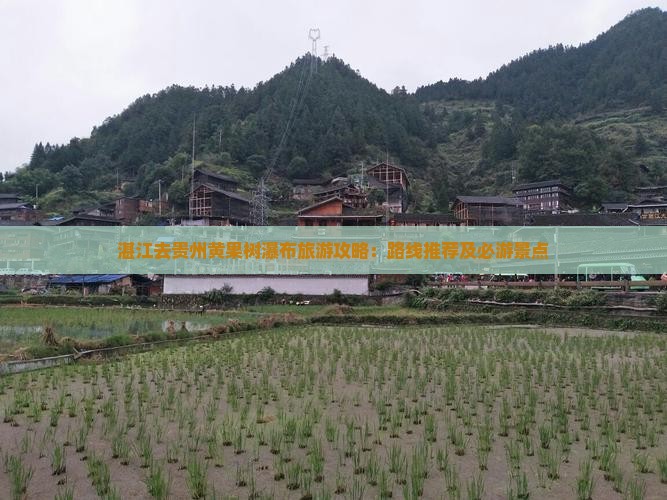 湛江去贵州黄果树瀑布景点