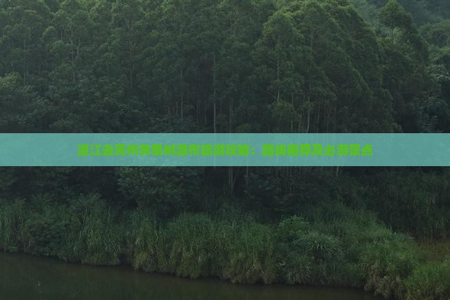 湛江去贵州黄果树瀑布景点