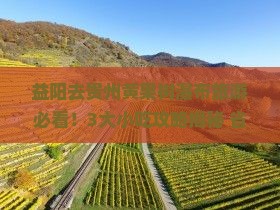 益阳去贵州黄果树瀑布旅游小吃