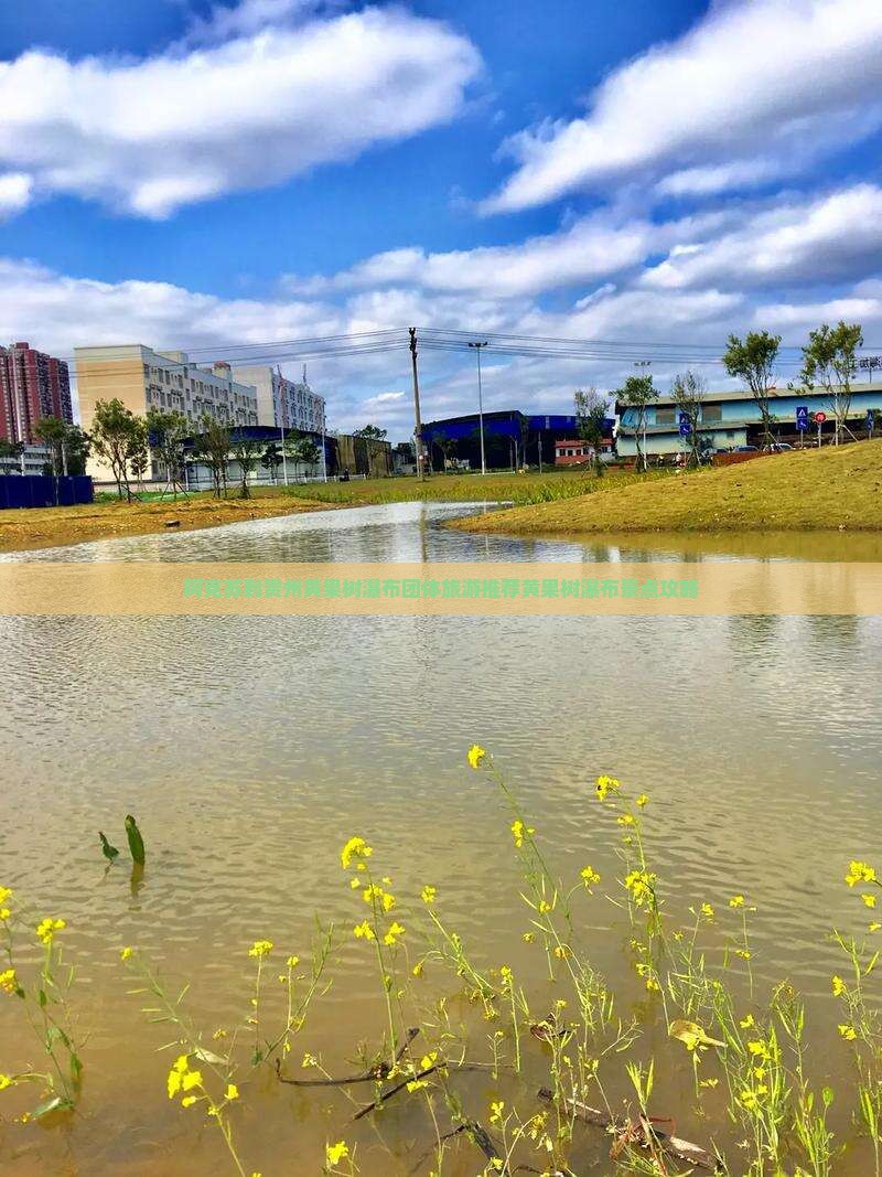 阿克苏去贵州黄果树瀑布团体旅游 阿克苏去贵州黄果树瀑布团体旅游