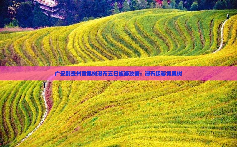 广安到贵州黄果树瀑布五日游