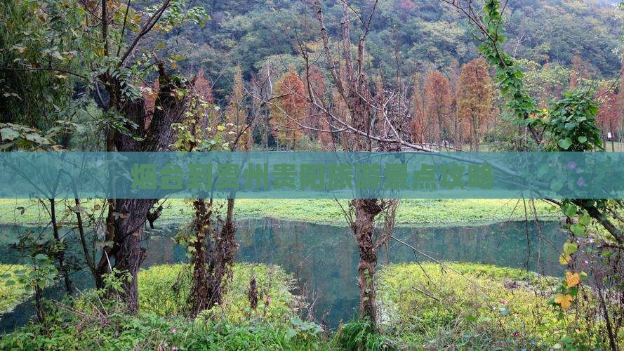 烟台到贵州贵阳景点