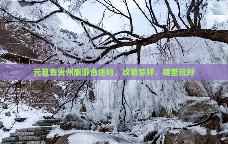 元旦去贵州旅游
