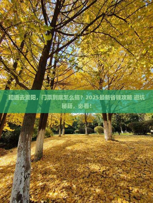 昭通去贵州贵阳门票