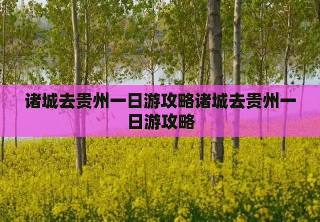 诸城去贵州一日