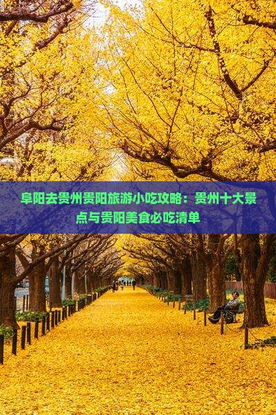 阜阳去贵州贵阳旅游小吃