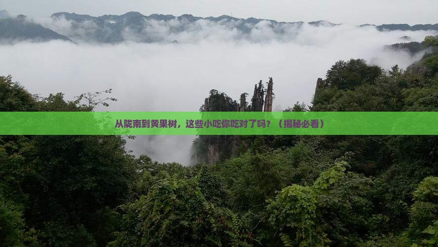 陇南到贵州黄果树瀑布旅游小吃