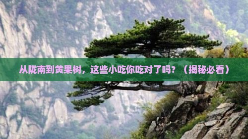 陇南到贵州黄果树瀑布旅游小吃