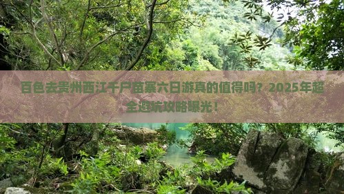百色去贵州西江千户苗寨六日游