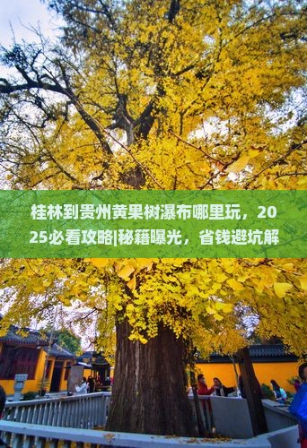 桂林到贵州黄果树瀑布哪里玩