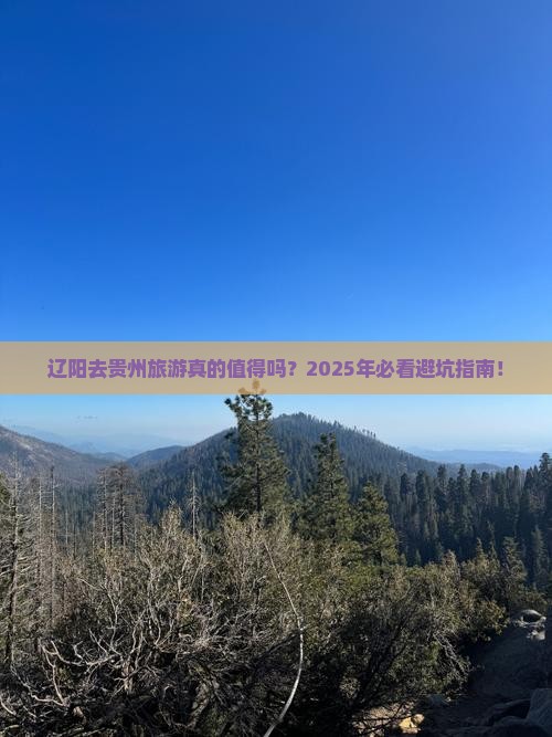辽阳去贵州旅游