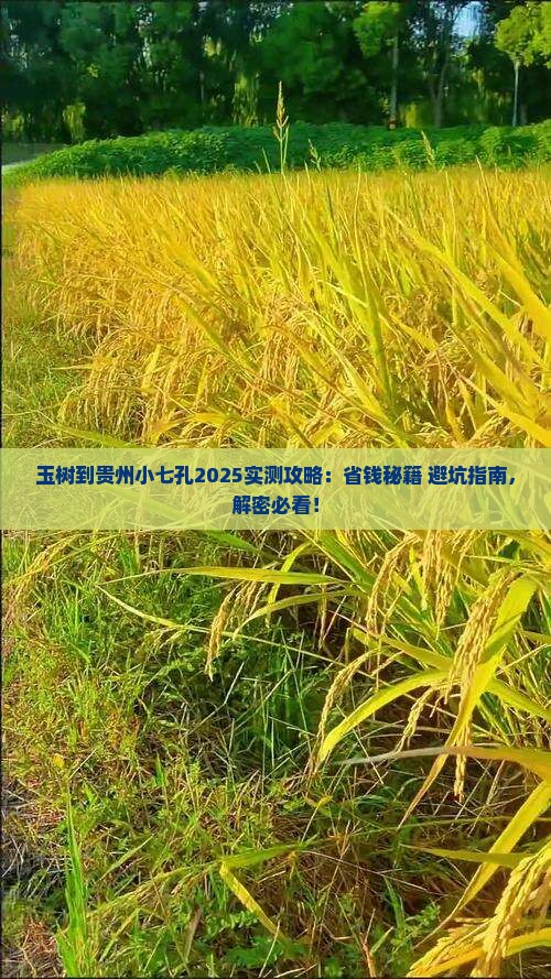 玉树到贵州小七孔攻略