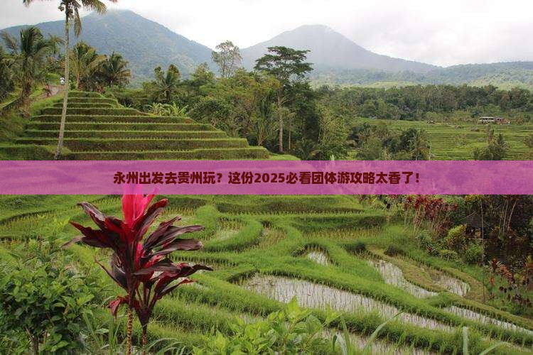 永州到贵州团体旅游