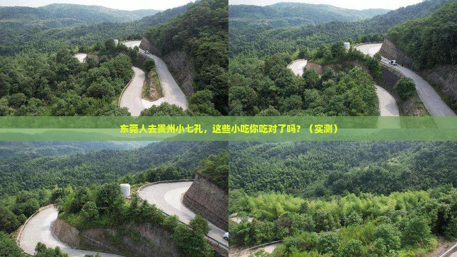 东莞去贵州小七孔旅游小吃