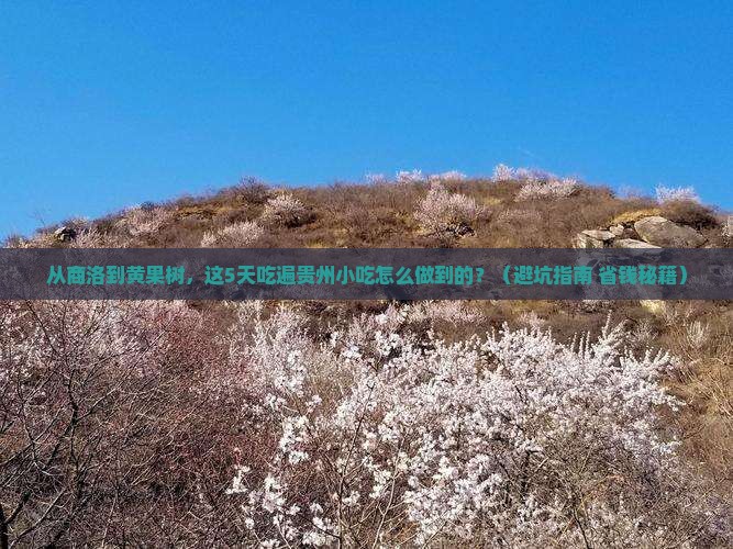 商洛到贵州黄果树瀑布旅游小吃