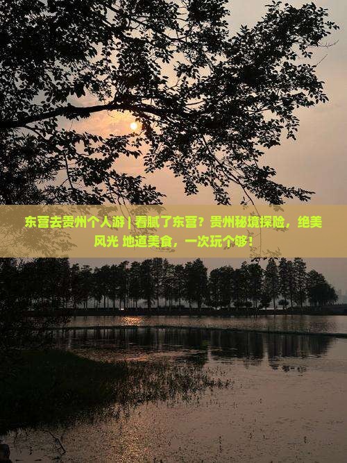 东营去贵州个人游