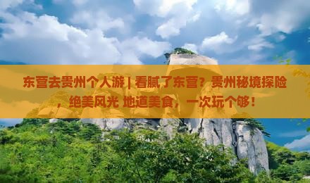东营去贵州个人游