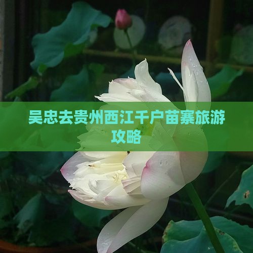吴忠去贵州西江千户苗寨旅行社