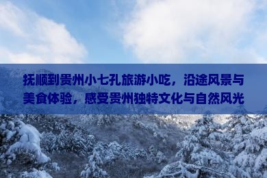 抚顺到贵州小七孔旅游小吃