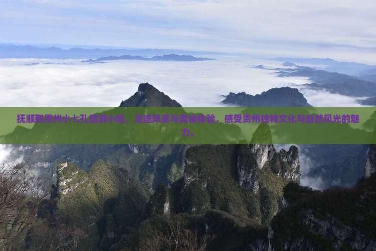 抚顺到贵州小七孔旅游小吃