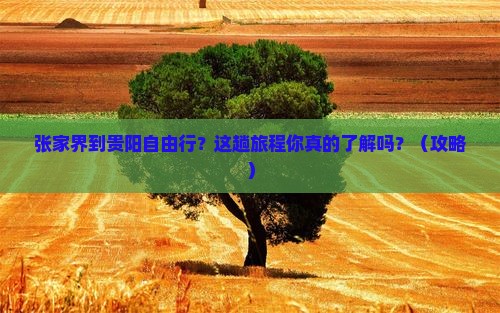张家界到贵州贵阳自由行