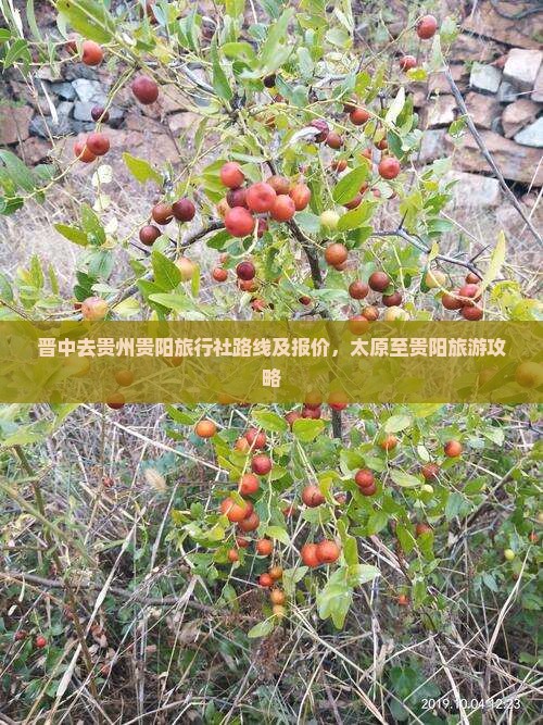 晋中去贵州贵阳旅行社