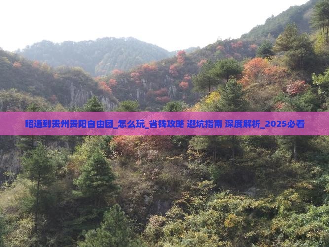 昭通到贵州贵阳自由团