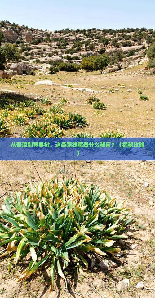 普洱去贵州黄果树瀑布哪里玩
