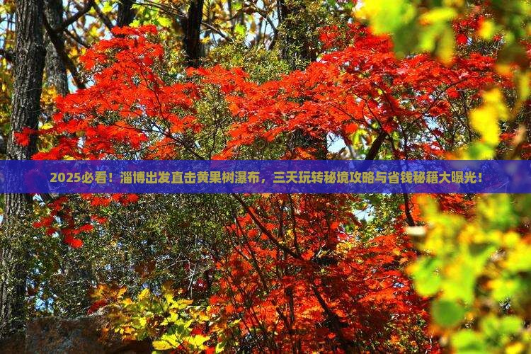 淄博到贵州黄果树瀑布三日游