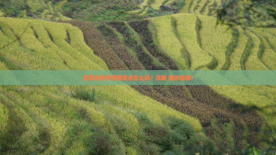 思茅去贵州贵阳景点