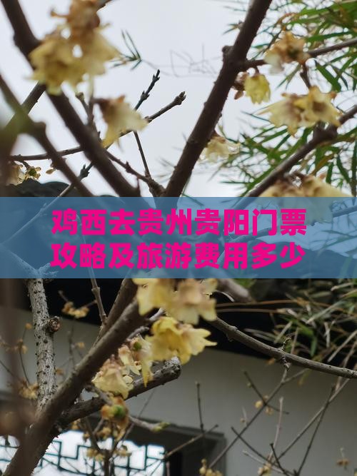 鸡西去贵州贵阳门票