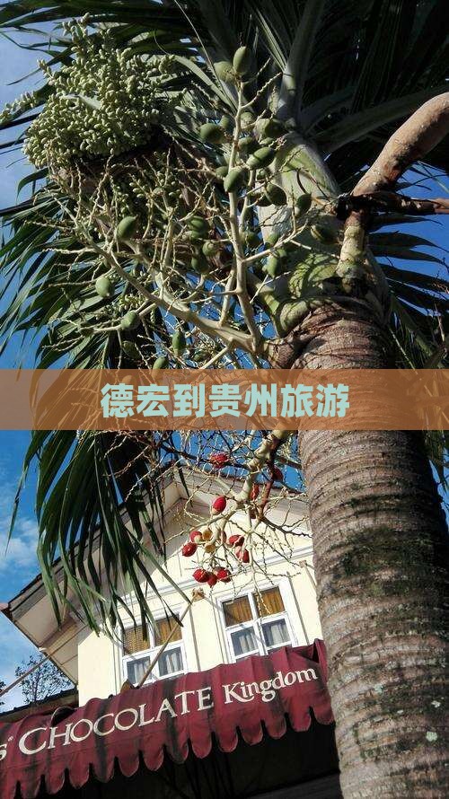 德宏到贵州旅游