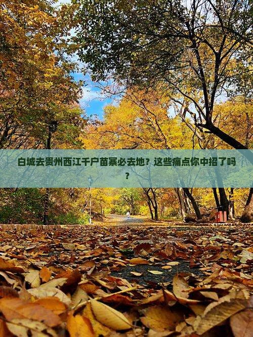 白城去贵州西江千户苗寨必去地