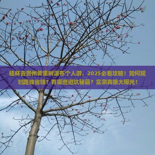 桂林去贵州黄果树瀑布个人游