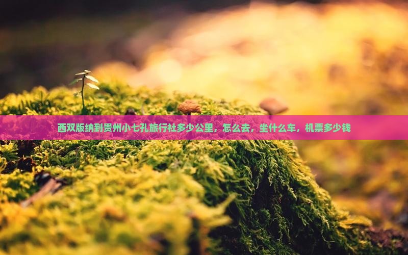 西双版纳到贵州小七孔旅行社