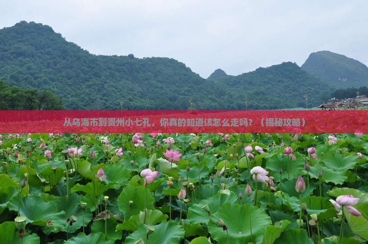 乌海市到贵州小七孔必去地