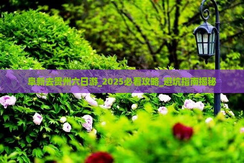 阜新去贵州六日游
