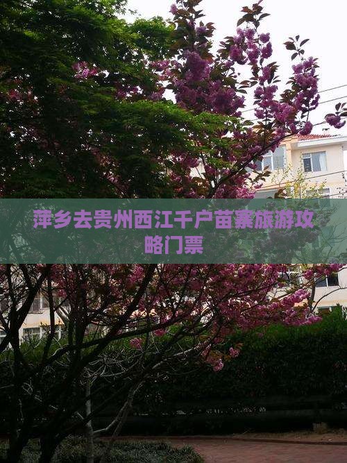 萍乡去贵州西江千户苗寨门票