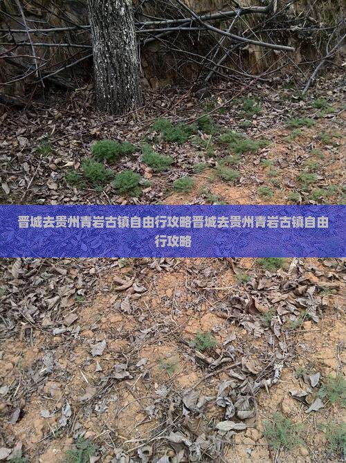 晋城去贵州青岩古镇自由行