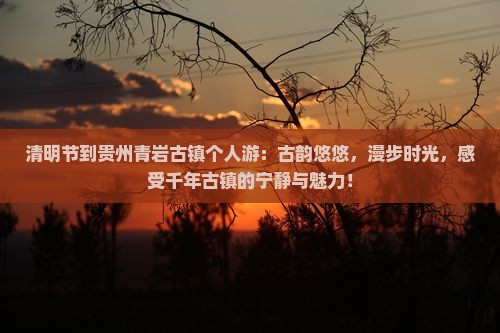 清明节到贵州青岩古镇个人游