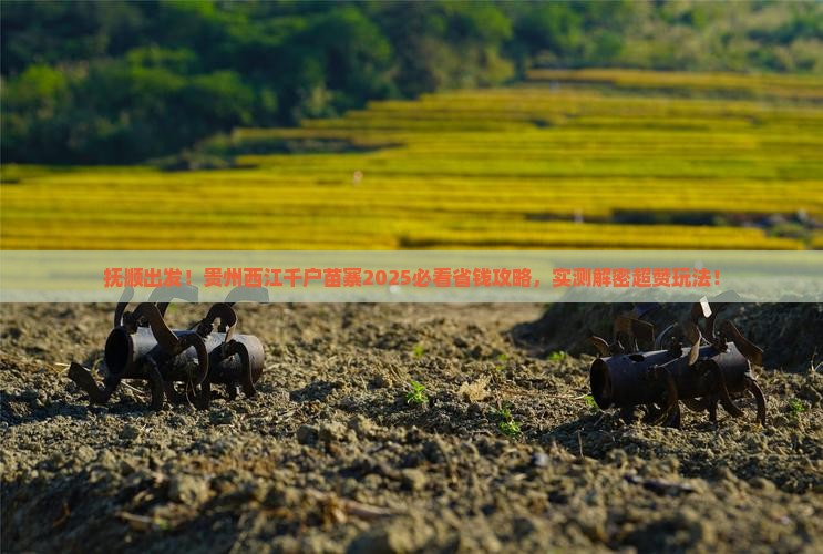 抚顺去贵州西江千户苗寨旅游