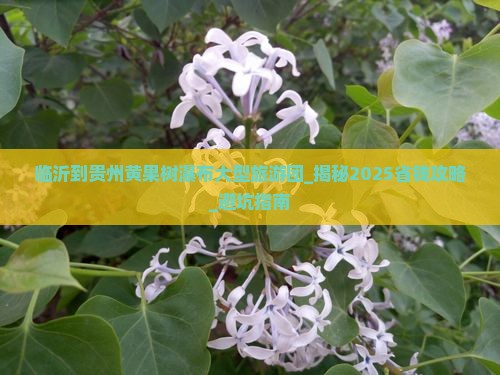 临沂到贵州黄果树瀑布大型旅游团