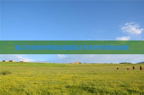 通辽市去贵州贵阳自由团