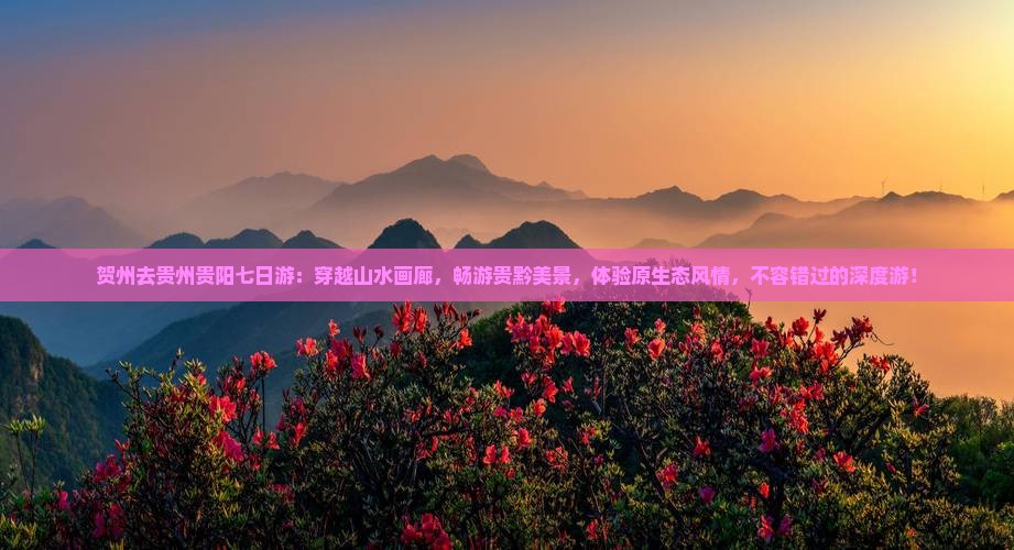 贺州去贵州贵阳七日游