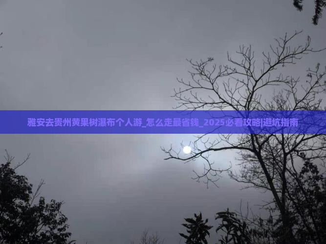 雅安去贵州黄果树瀑布个人游